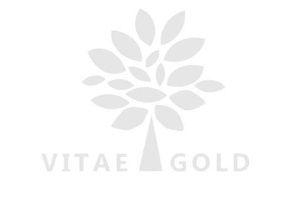 logo_0005_Logotipo-Vitae-Gold-(1)